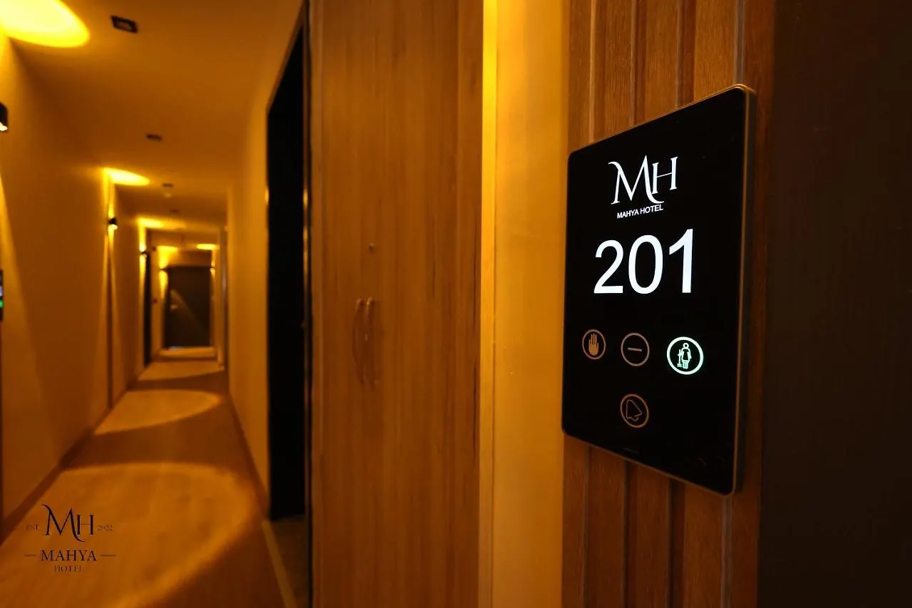 Mahya Hotel Istanbul 3*,  Turkey